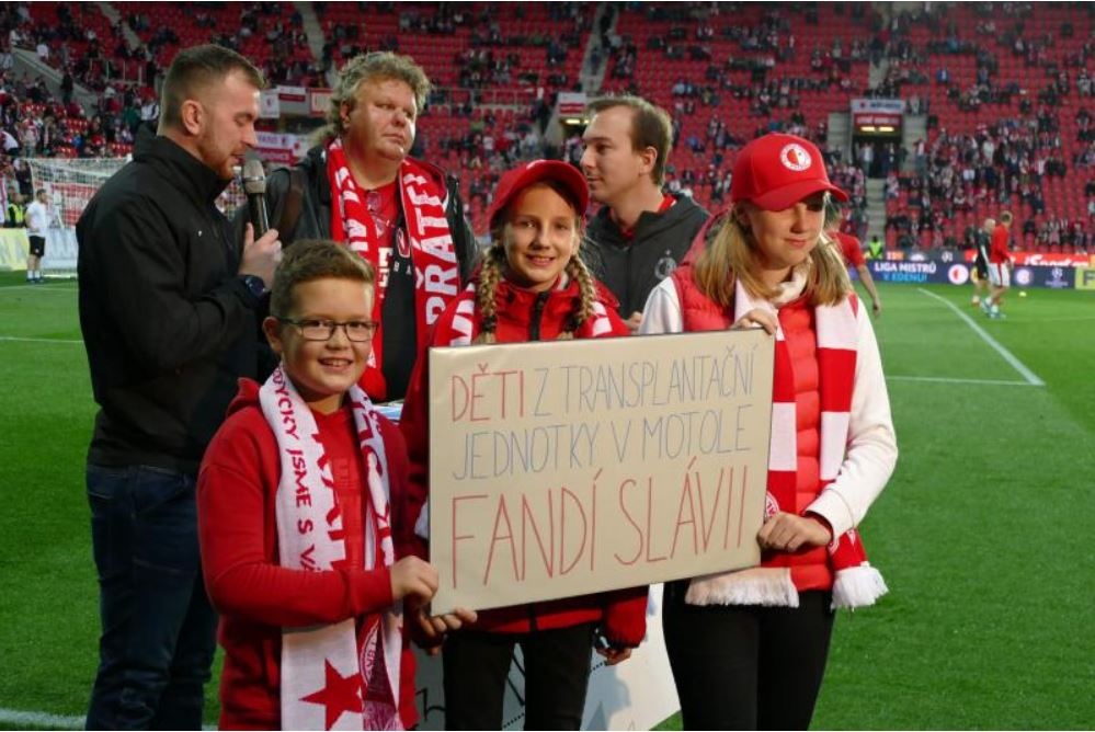 POMÁHÁME - Plyšáci DOMOTOLA